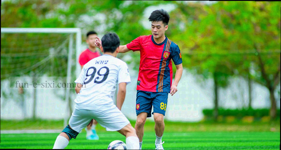 四种不同填充纹理的方形标记并排，分别代表实心、半实心、空心与斜纹的归档状态
